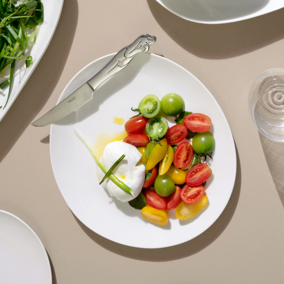 Dinner Plate Set Of 4 - Organic