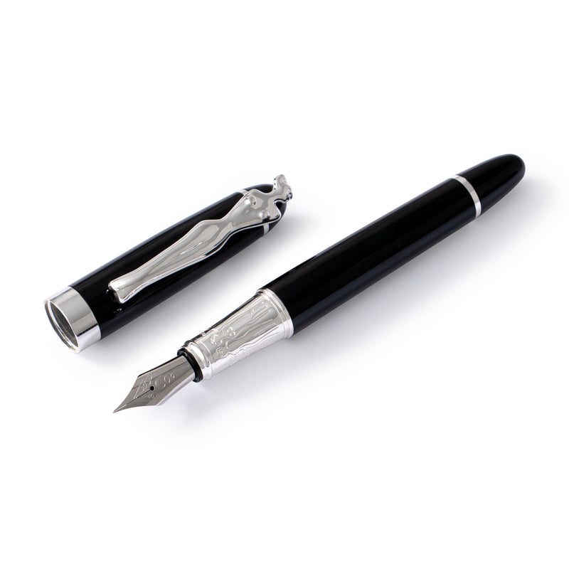 FOUNTAIN PEN - woman - silver - black