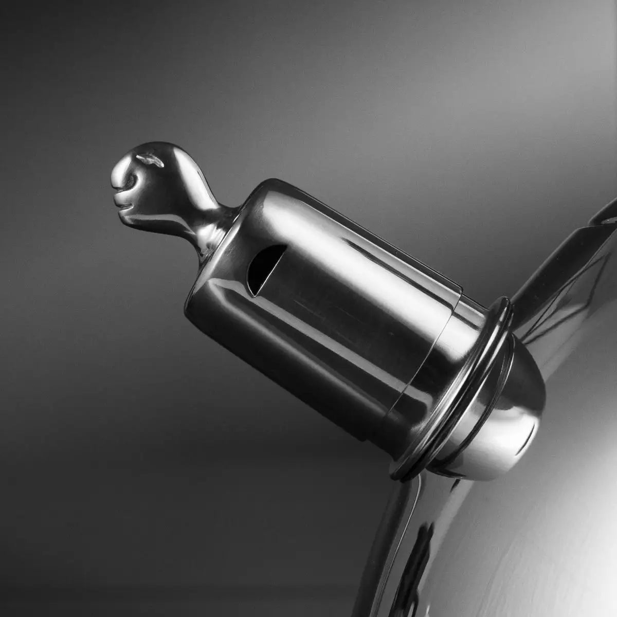 Stovetop Kettle - Diver